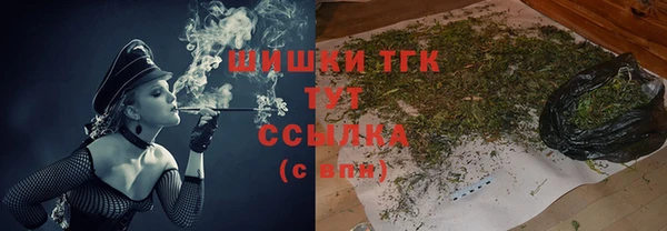 СК Сосновоборск