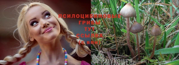 СК Сосновоборск