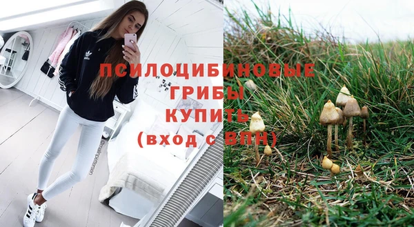 соль курить ск Снежногорск