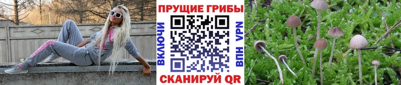 Купить закладки  Симферополь  Галлюциногенные грибы GOLDEN TEACHER 